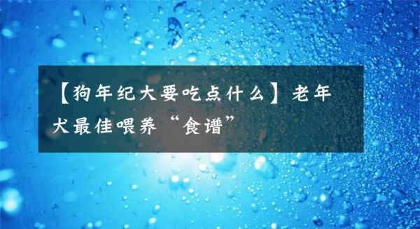 【狗年纪大要吃点什么】老年犬最佳喂养“食谱”文章配图