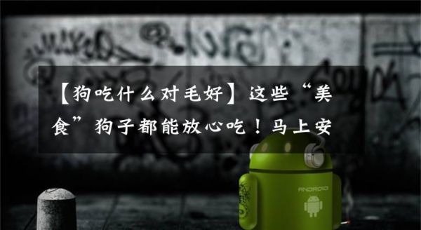 【狗吃什么对毛好】这些“美食”狗子都能放心吃！马上安排文章配图