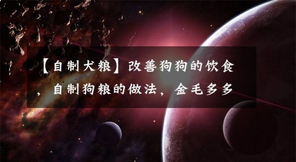 【自制犬粮】改善狗狗的饮食，自制狗粮的做法，金毛多多的日常餐文章配图