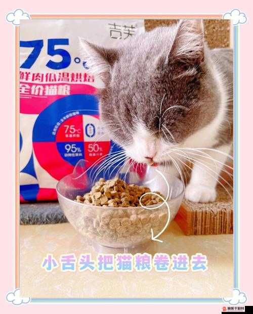 神奇魔法黄豆宠物粮怎么做？在家轻松制作健康粮！