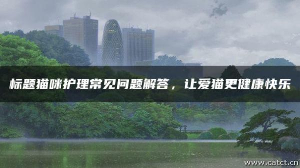 标题猫咪护理常见问题解答，让爱猫更健康快乐