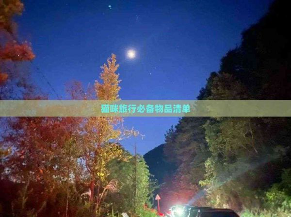 猫咪旅行必备物品清单