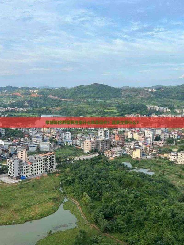 带猫咪旅游需要准备什么物品证件？需要注意什么？