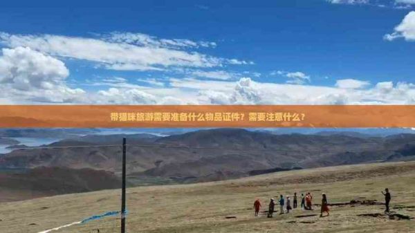 带猫咪旅游需要准备什么物品证件？需要注意什么？