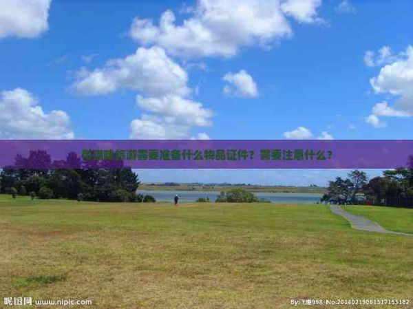 带猫咪旅游需要准备什么物品证件？需要注意什么？