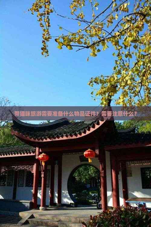 带猫咪旅游需要准备什么物品证件？需要注意什么？