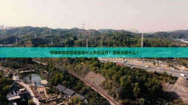 带猫咪旅游需要准备什么物品证件？需要注意什么？
