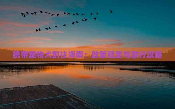 携带宠物犬前往海南：政策规定与旅行攻略