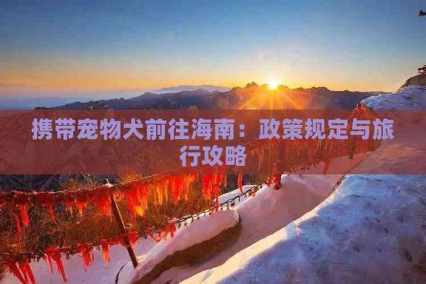 携带宠物犬前往海南：政策规定与旅行攻略