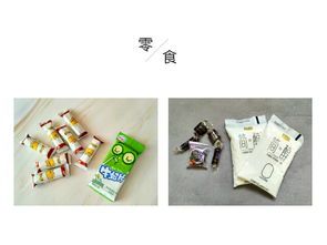 宠物旅行必备清单
