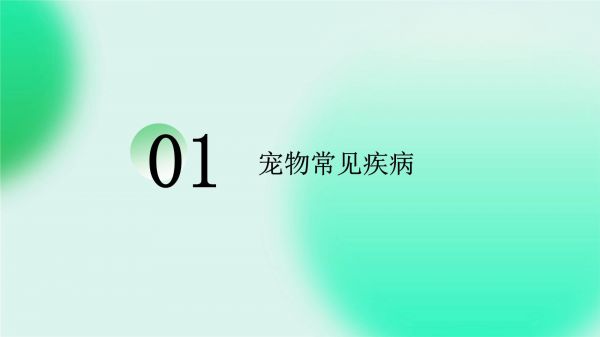 宠物日常疾病与预防_第3页