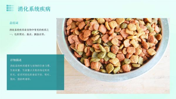 宠物日常疾病与预防_第4页