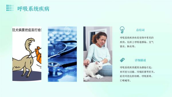 宠物日常疾病与预防_第5页
