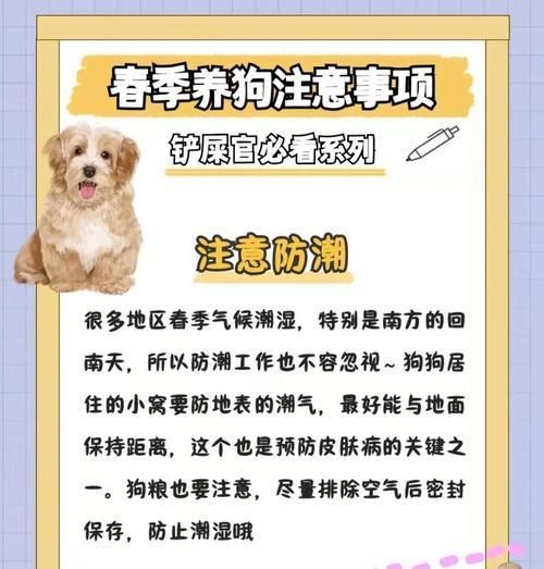 如何正确消毒养狗的屋子？养狗环境消毒的注意事项是什么？
