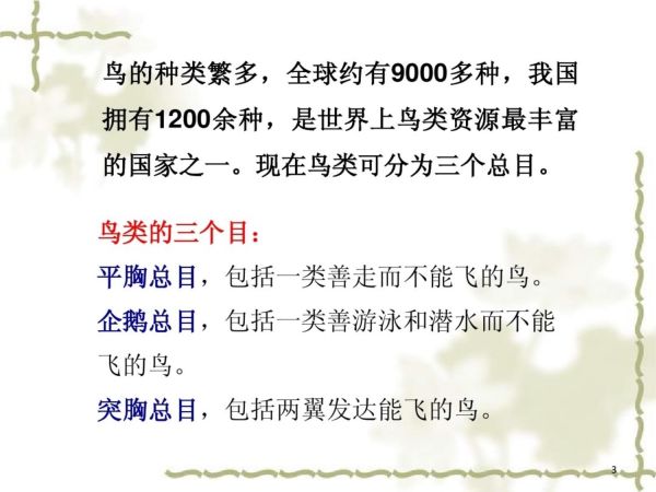 宠物学概论鸟类课件_第3页