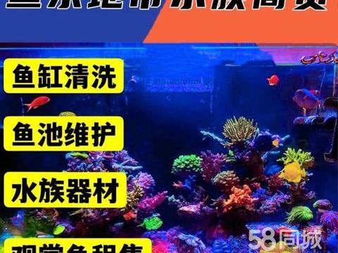 西安宠物用品/食品·鱼乐地带水族商，沉浸式水洗体验，均可参与优惠