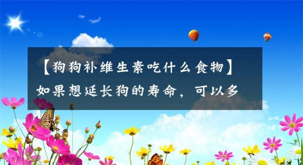 【狗狗补维生素吃什么食物】如果想延长狗的寿命，可以多吃这五种食物文章配图