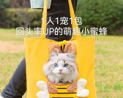 宠物猫咪的食谱（如何为你的猫咪选择最适合的食物）