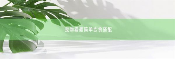 宠物猫最简单饮食搭配(图1)