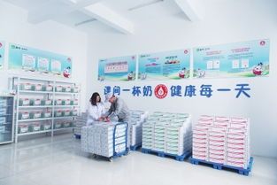 为宠物打造均衡营养餐，健康生活每一天。