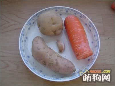 自制狗狗营养均衡的午饭
