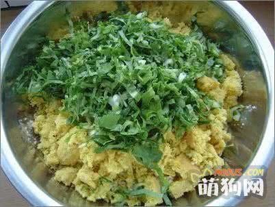 自制狗狗营养均衡的午饭