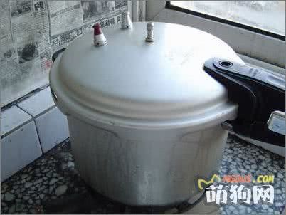 自制狗狗营养均衡的午饭