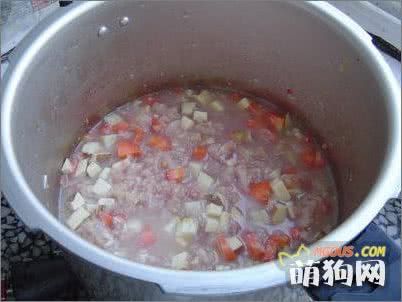 自制狗狗营养均衡的午饭