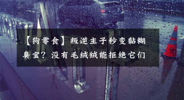 【狗零食】叛逆主子秒变黏糊臭宝？没有毛绒绒能拒绝它们！宠物零食众测盘点文章配图
