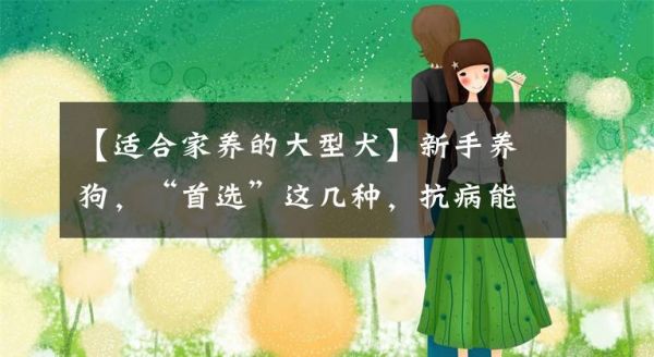 【适合家养的大型犬】新手养狗，“首选”这几种，抗病能力强，好养文章配图