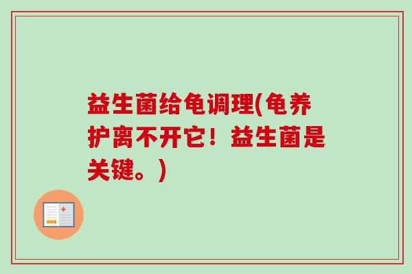 益生菌给龟调理(龟养护离不开它！益生菌是关键。)