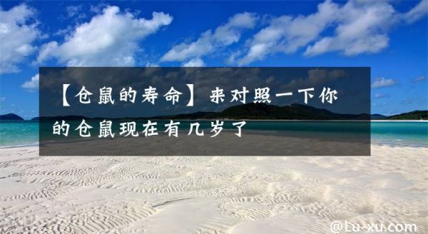 【仓鼠的寿命】来对照一下你的仓鼠现在有几岁了