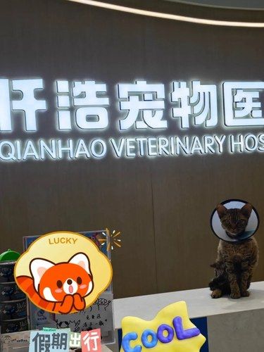杭州还有不坑的宠物医院⁉️