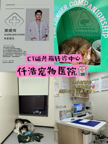 仟浩宠物医院｜24小时守护你的毛孩子