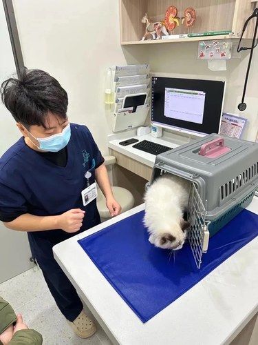 没想到仟浩宠物医院这么专业！