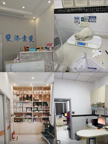 医术超赞 医心更美~