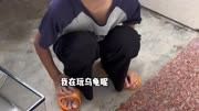 小妹喜提联想平衡车开心告别慢吞小乌龟