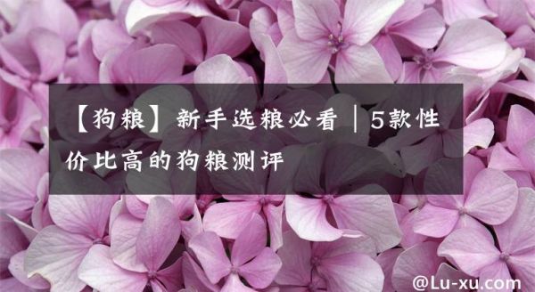 【狗粮】新手选粮必看｜5款性价比高的狗粮测评文章配图