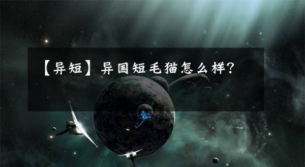 【异短】异国短毛猫怎么样？文章配图