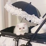 大脸加菲猫