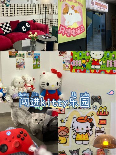 拍照圣地警报！沉浸式撸猫电玩岛·KT主题房