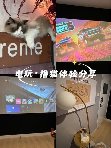  电玩探店｜ 双人包厢+可爱猫咪，氛围感拉满