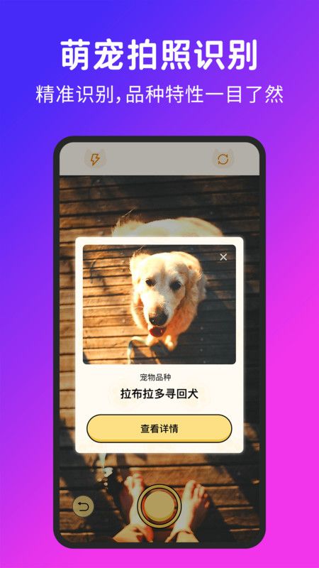 喵汪宠物猫狗翻译器