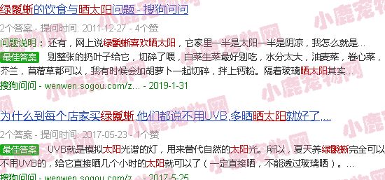 绿鬣蜥喜欢晒太阳吗