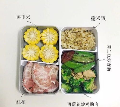 “一月龄小猫专用食谱”