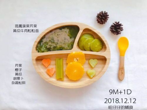 “一月龄小猫专用食谱”