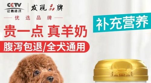为老狗选粮，健康优先
