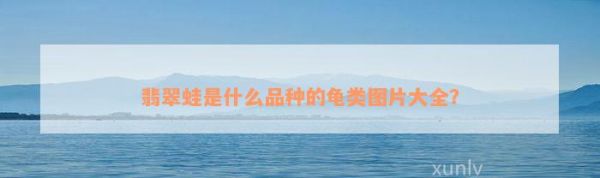 翡翠蛙是什么品种的龟类图片大全？