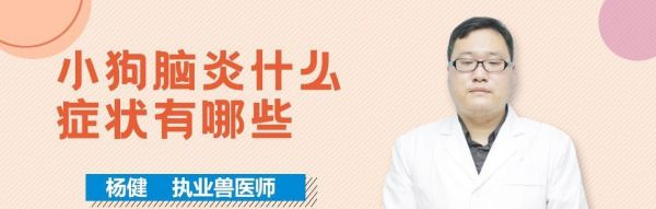 狗急性脑炎——了解症状及治疗方法（宠物犬遭遇急性脑炎，你需要知道的15个关键症状和治疗方案。）