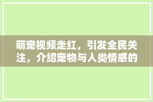 萌宠视频走红，引发全民关注，介绍宠物与人类情感的奇妙纽带
